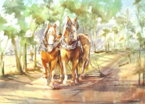 Equine- Horses